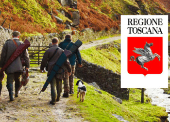 PSA, Regione Toscana ribadisce il ruolo determinante dei cacciatori