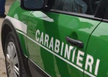 Arci Caccia e Carabinieri Forestali rinnovano il Protocollo d’Intesa