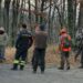 Maremma, 36enne attaccato e ucciso da un cinghiale: recisa l’arteria femorale