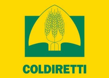 Peste suina, Coldiretti: “Colpevole la mancanza di prevenzione”