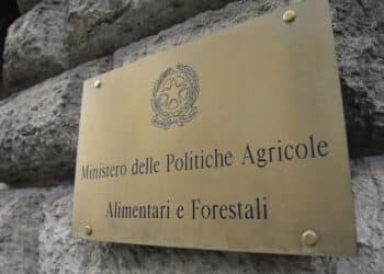 Peste suina africana, dal MIPAAF 50 milioni per risarcire allevatori