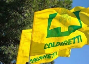 PSA, Coldiretti Liguria: “Richieste a Regione misure urgenti per tutela aziende”