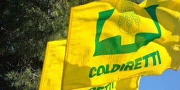 PSA, Coldiretti Liguria: “Richieste a Regione misure urgenti per tutela aziende”