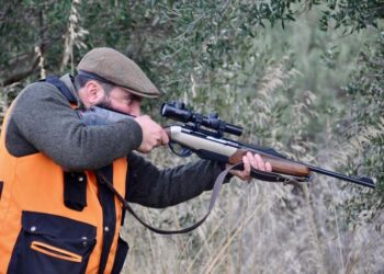 Lombardia, Zona Alpi: eliminato limite massimo ingrandimenti per cannocchiali carabine