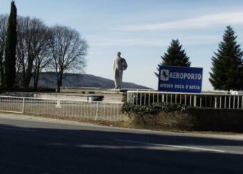 Gorizia, il problema dei caprioli sulle piste dell’Aeroporto Duca D’Aosta