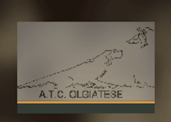 ATC Olgiatese, Mazzali: “Bene richieste fermi per caccia al cinghiale”