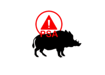 Peste suina. Portoferraio, Federcaccia: “No a iniziative isolate”