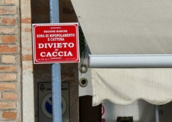 Civitanova Marche, il mistero del divieto di caccia apparso di fronte a una pasticceria
