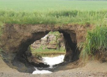 Rovigo, cade col trattore nella tana delle nutrie: tragedia sfiorata