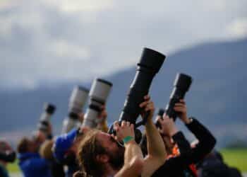 FIDC: “Per Arci Caccia il futuro è la caccia fotografica alla stanziale?”