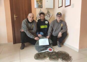 Catania, le guardie FIDC sequestrano attrezzature per cattura illegale di fauna ittica