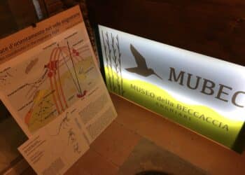 Caccia Village 2022, la grande novità del Museo della Beccaccia