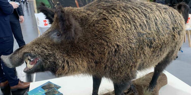 IWA 2022 – Alcuni scatti dai padiglioni espositivi..