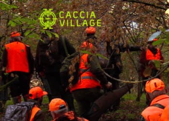 Caccia Village 2022, il seminario sulla sicurezza nella caccia al cinghiale in braccata