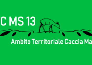 PSA: il presidente dell’ATC MS13 chiede ripensamento su limitazioni