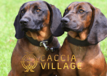 Caccia Village 2022, il workshop dedicato all’addestramento cinofilo