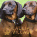 Caccia Village 2022, il workshop dedicato all’addestramento cinofilo
