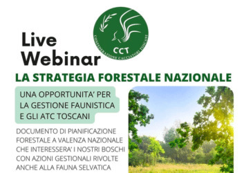 Webinar Cacciatori Toscani: la Strategia Forestale Nazionale