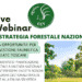 Webinar Cacciatori Toscani: la Strategia Forestale Nazionale