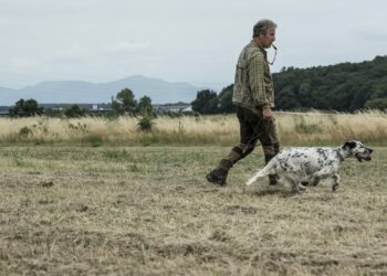 Nel Bresciano riaprono le Zone Addestramento Cani