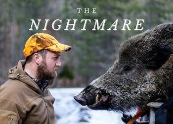 Caccia al cinghiale in Grecia