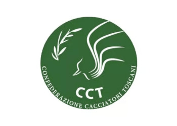 CCT