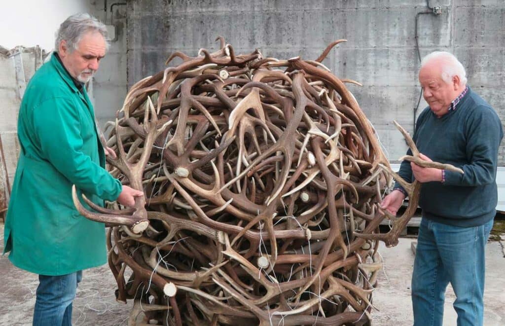 di bon centazzo di bon centazzo