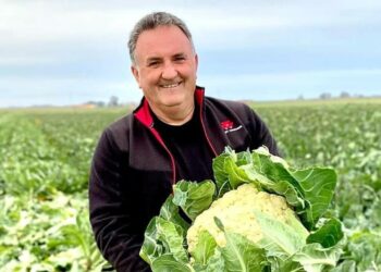 Uomo morto nel Gargano dopo incidente coi cinghiali, la famiglia: “Inaccettabile che accada in un paese civile”