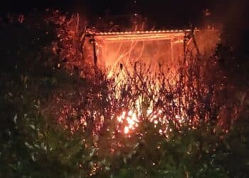 Capanni di caccia in fiamme nel Vicentino: indagano i Carabinieri