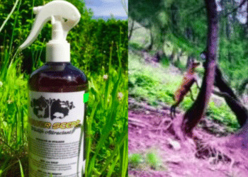 Caccia Village 2022, focus sull’impiego di attrattivi nell’attività venatoria