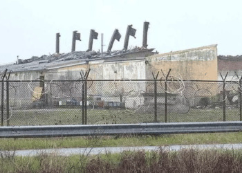 Base militare nel Parco di San Rossore (Pisa), il no di Arci Caccia