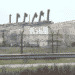 Base militare nel Parco di San Rossore (Pisa), il no di Arci Caccia