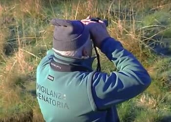 Vigilanza venatoria volontaria: Federcaccia Toscana chiede confronto a Regione