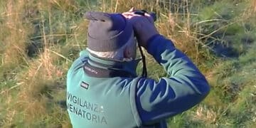 Vigilanza venatoria volontaria: Federcaccia Toscana chiede confronto a Regione