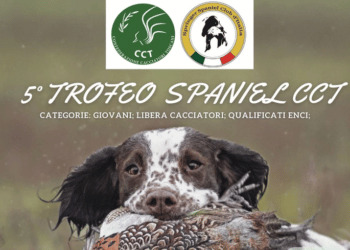 Confederazione Cacciatori Toscani, domani al via il 5° Trofeo Spaniel