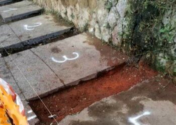 A Roma si pensa a tutto tranne al contenimento, in arrivo le postazioni anticinghiale per la spazzatura