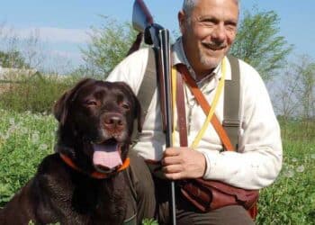 Yildiz sovrapposto in 28/70: un divertimento