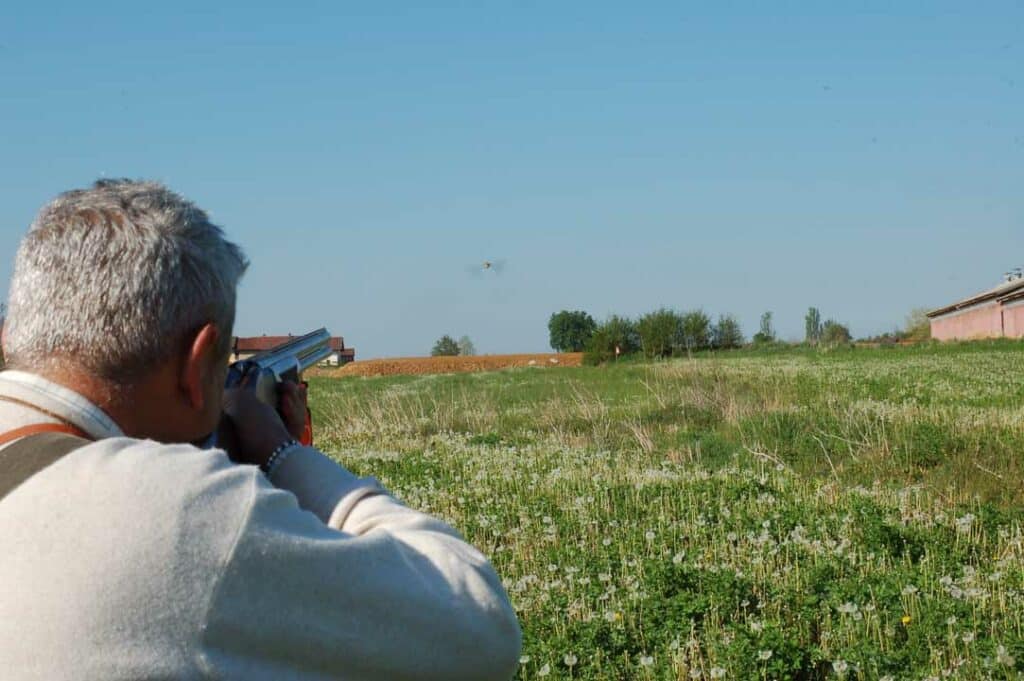 Caccia alla quaglia in Piemonte