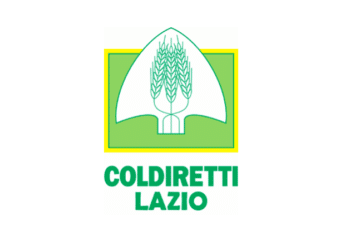 Coldiretti Lazio: “I cinghiali hanno distrutto l’80% dei raccolti”