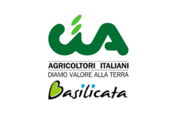 Sangliers, la CIA Basilicate demande des compétences aux Régions pour un plan extraordinaire