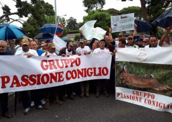 Sicilia, il Gruppo Passione Coniglio contro il possibile calendario venatorio