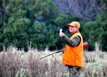 Abruzzo, Zone di Rispetto Venatorio ad Atessa: caccia in braccata a rischio