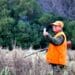 Abruzzo, Zone di Rispetto Venatorio ad Atessa: caccia in braccata a rischio