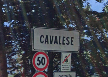 Troppi incidenti con cervi e caprioli: a Cavalese (TN) il primo impianto luminoso con termocamera e sensori