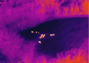 I droni in ambito faunistico