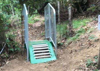 Come funzionano i Cattle Guards, il nuovo sistema anti-ungulati del Parco delle Cinque Terre