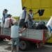 Operazione Paladini del Territorio, anche in Veneto i cacciatori ripuliscono i boschi