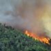 Arci Caccia Ischia, Capri, Procida e Carabinieri: intesa contro gli incendi boschivi
