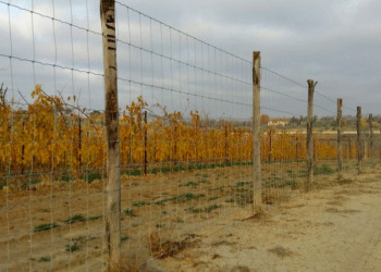 CCT: “Recinzioni indiscriminatamente sul territorio, servono soluzioni”