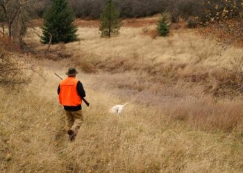 Umbria, il Consiglio Regionale chiede alla Giunta di allungare il periodo di caccia